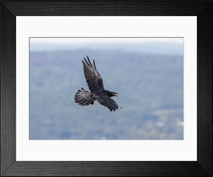 Framed Print : Picture No. 10898830 Framed Print : Picture No. 10898830