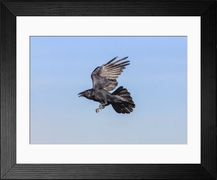 Framed Print : Picture No. 10898831 Framed Print : Picture No. 10898831