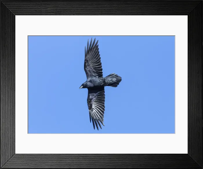Framed Print : Picture No. 10898832 Framed Print : Picture No. 10898832