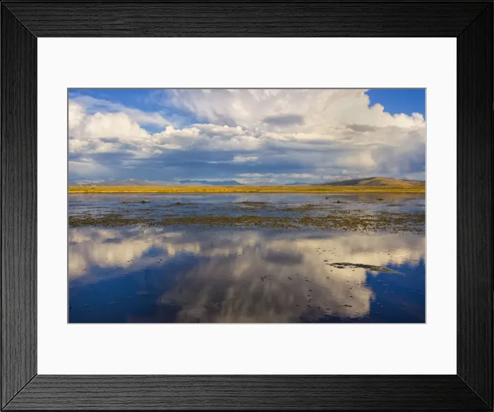 Framed Print : Picture No. 10898835 Framed Print : Picture No. 10898835
