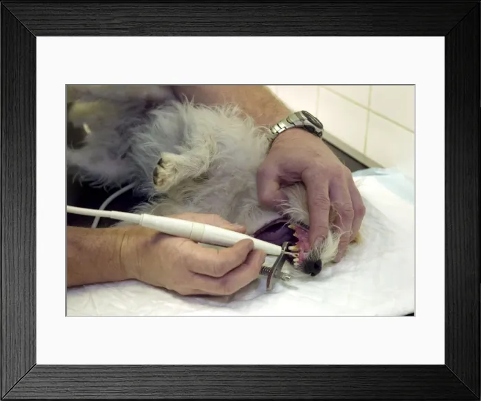 Framed Print : Picture No. 10769974 Framed Print : Picture No. 10769974
