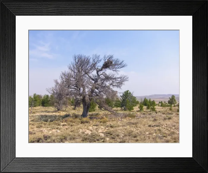 Framed Print : Picture No. 10898840 Framed Print : Picture No. 10898840