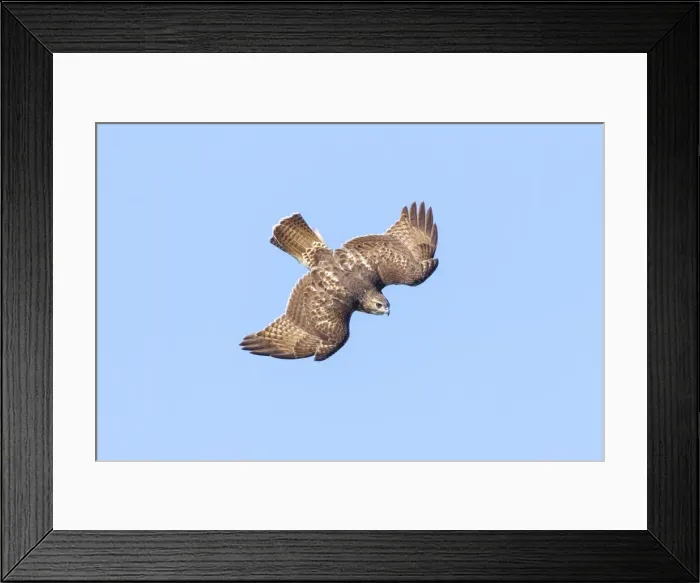 Framed Print : Picture No. 10898868 Framed Print : Picture No. 10898868