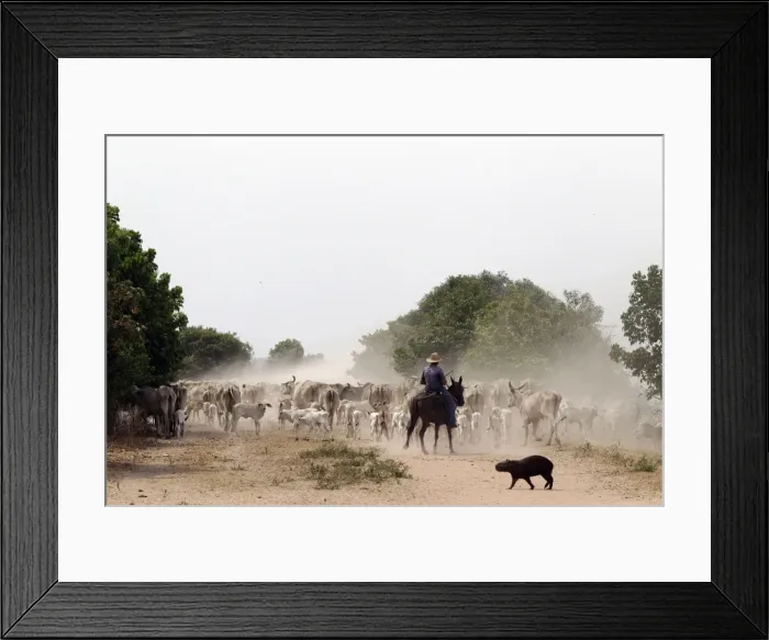 Framed Print : Picture No. 10898900 Framed Print : Picture No. 10898900