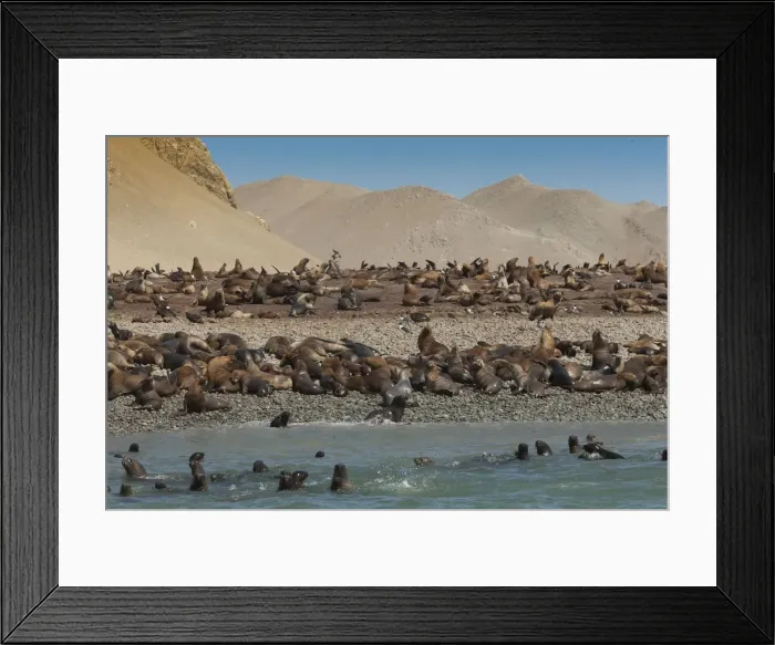 Framed Print : Picture No. 10898903 Framed Print : Picture No. 10898903