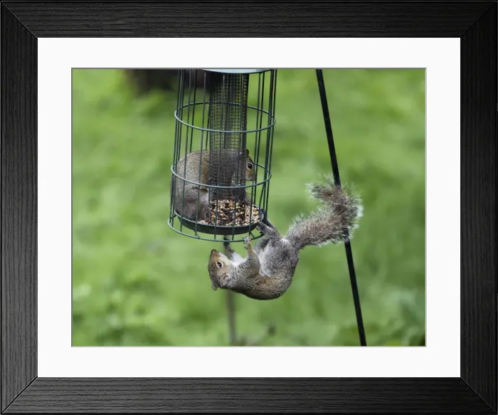 Framed Print : Picture No. 10898915 Framed Print : Picture No. 10898915