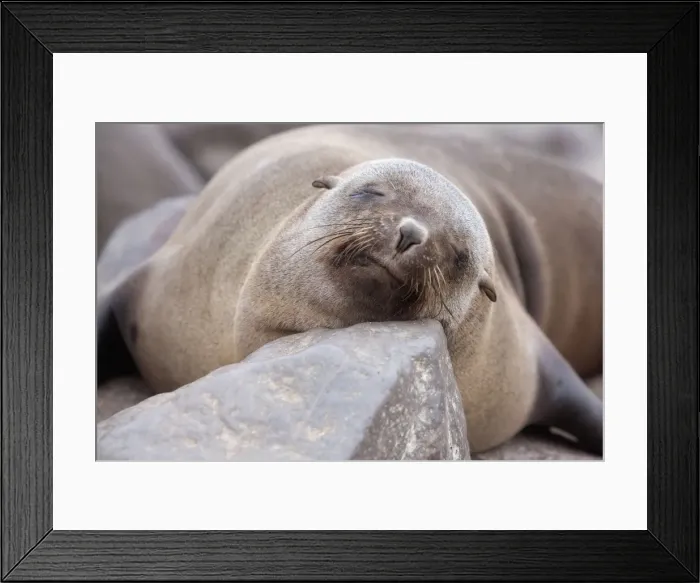 Framed Print : Picture No. 10898905 Framed Print : Picture No. 10898905