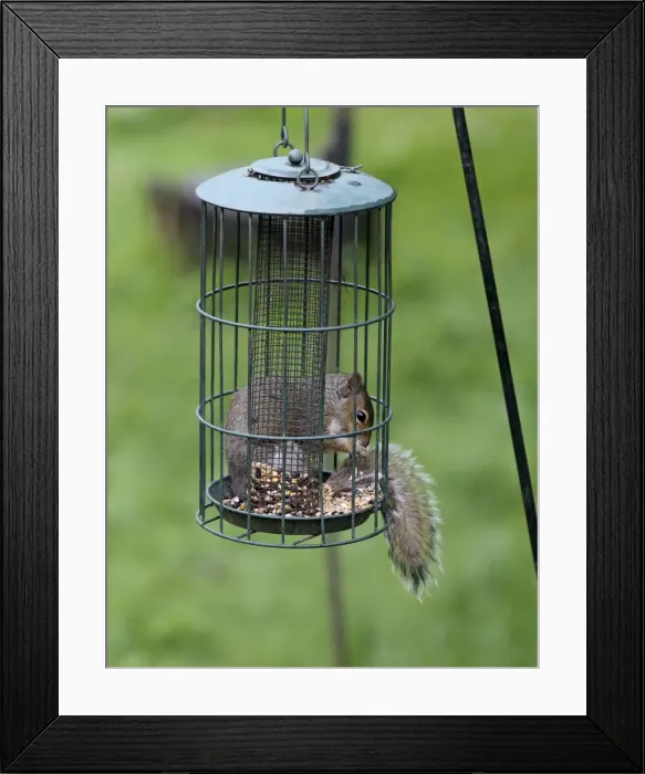 Framed Print : Picture No. 10898916 Framed Print : Picture No. 10898916