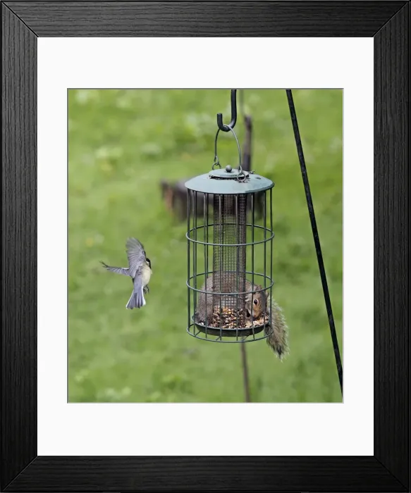 Framed Print : Picture No. 10898917 Framed Print : Picture No. 10898917