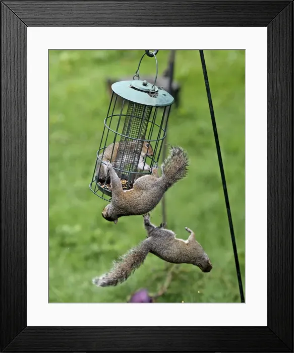 Framed Print : Picture No. 10898922 Framed Print : Picture No. 10898922
