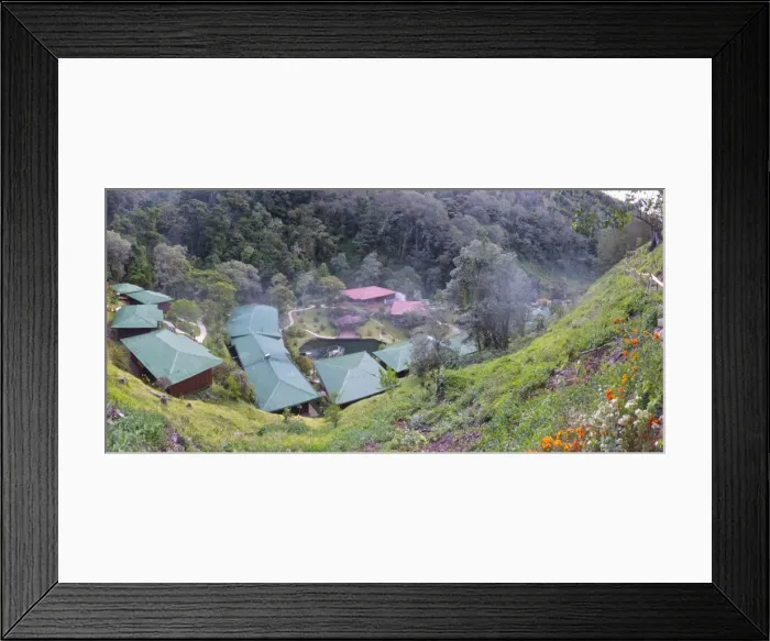 Framed Print : Picture No. 10898881