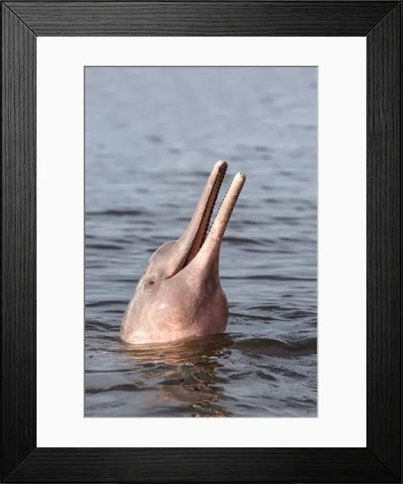 Framed Print : Picture No. 10898928 Framed Print : Picture No. 10898928