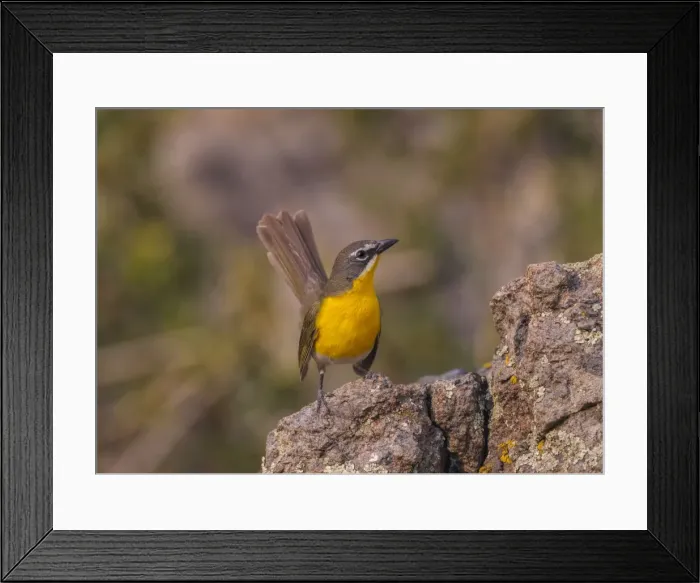 Framed Print : Picture No. 10898892 Framed Print : Picture No. 10898892