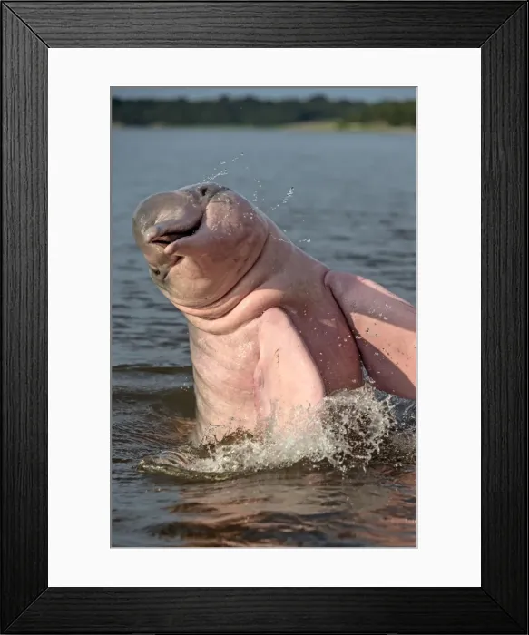 Framed Print : Picture No. 10898934 Framed Print : Picture No. 10898934