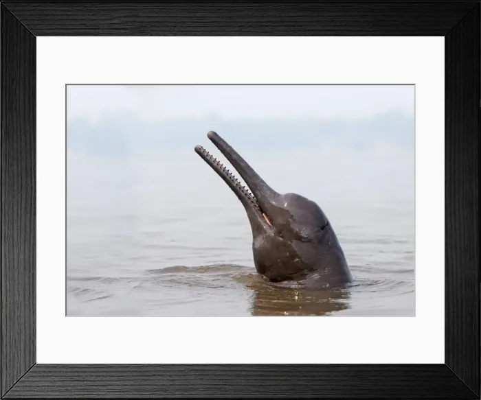 Framed Print : Picture No. 10898941 Framed Print : Picture No. 10898941