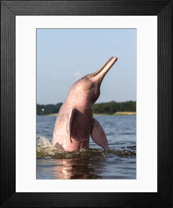 Framed Print : Picture No. 10898946 Framed Print : Picture No. 10898946