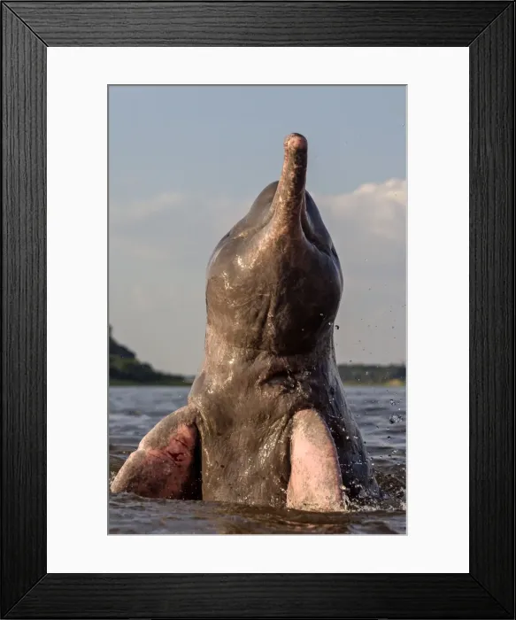 Framed Print : Picture No. 10898949 Framed Print : Picture No. 10898949
