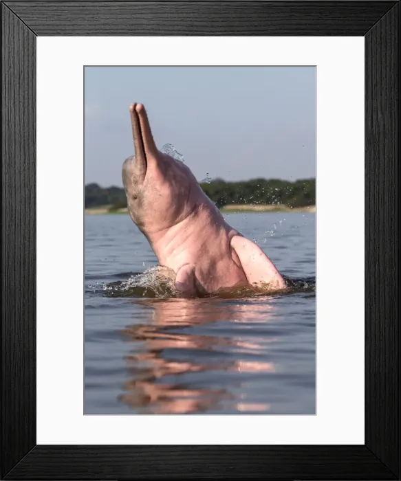 Framed Print : Picture No. 10898947 Framed Print : Picture No. 10898947