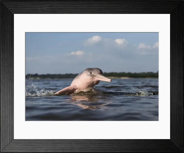Framed Print : Picture No. 10898957 Framed Print : Picture No. 10898957