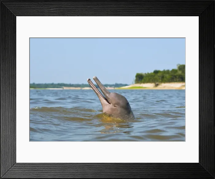 Framed Print : Picture No. 10898953 Framed Print : Picture No. 10898953