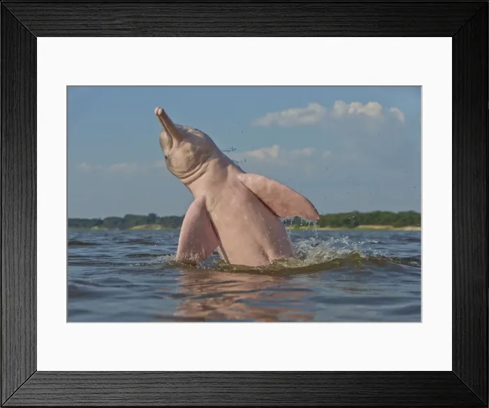 Framed Print : Picture No. 10898959 Framed Print : Picture No. 10898959