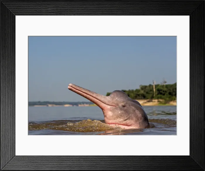 Framed Print : Picture No. 10898951 Framed Print : Picture No. 10898951