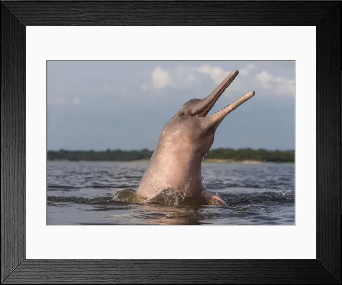 Framed Print : Picture No. 10898955 Framed Print : Picture No. 10898955