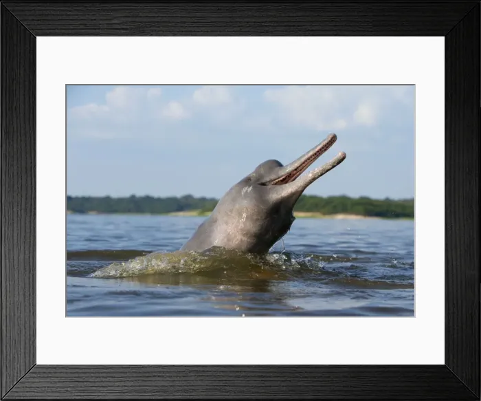 Framed Print : Picture No. 10898961