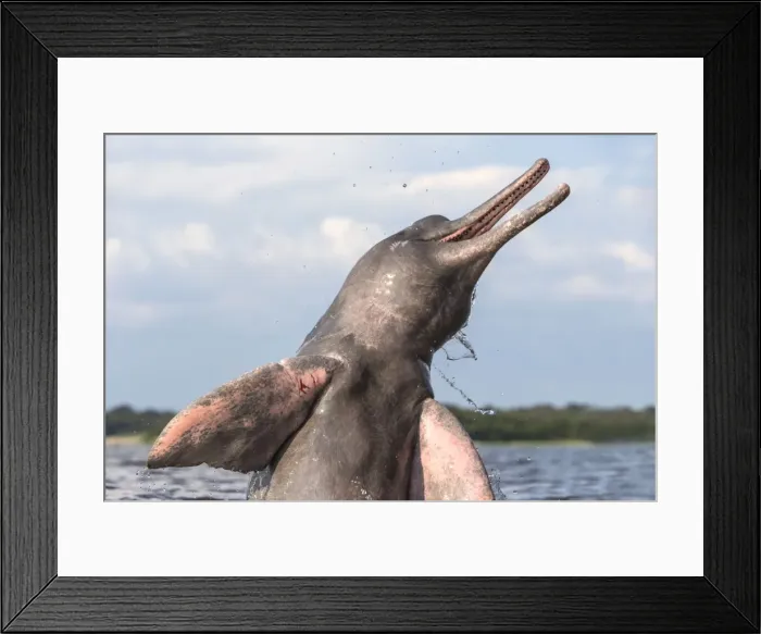 Framed Print : Picture No. 10898956 Framed Print : Picture No. 10898956