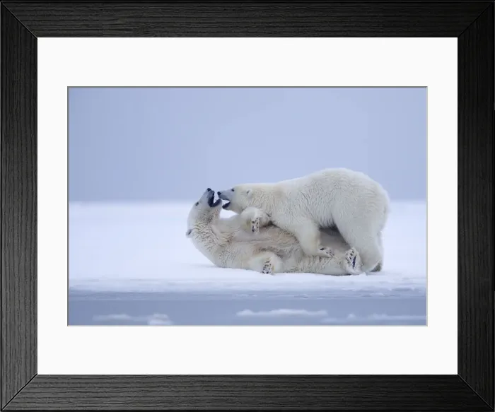Framed Print : Picture No. 10898966 Framed Print : Picture No. 10898966