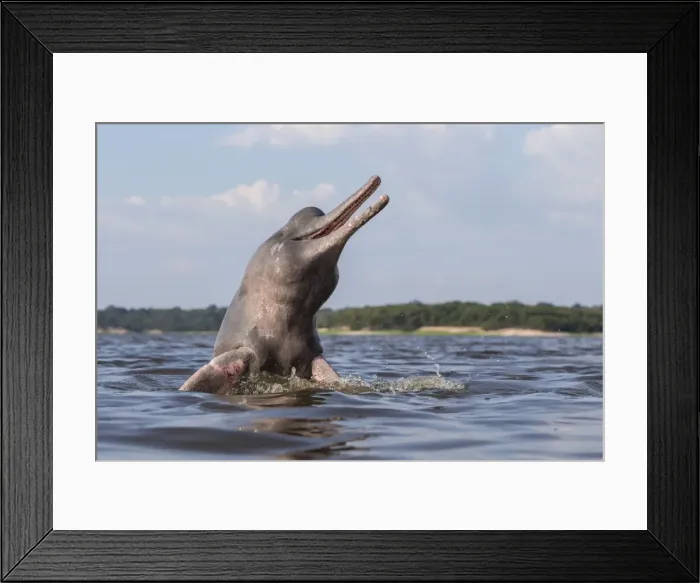Framed Print : Picture No. 10898960 Framed Print : Picture No. 10898960