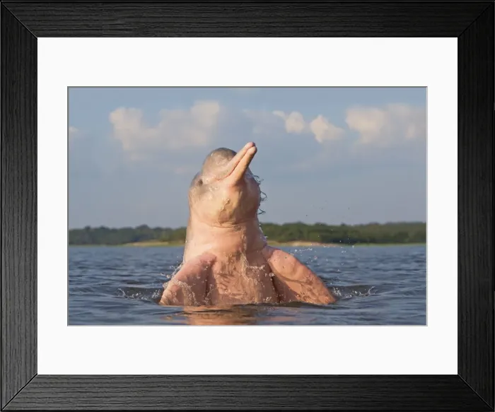 Framed Print : Picture No. 10898967 Framed Print : Picture No. 10898967