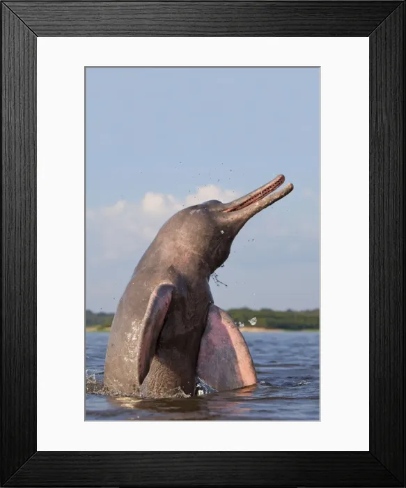 Framed Print : Picture No. 10898965 Framed Print : Picture No. 10898965
