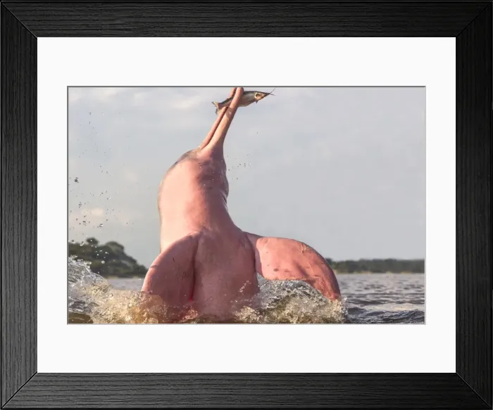 Framed Print : Picture No. 10898969