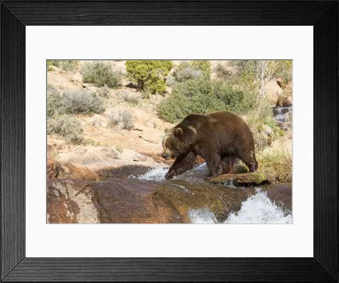 Framed Print : Picture No. 10898988 Framed Print : Picture No. 10898988