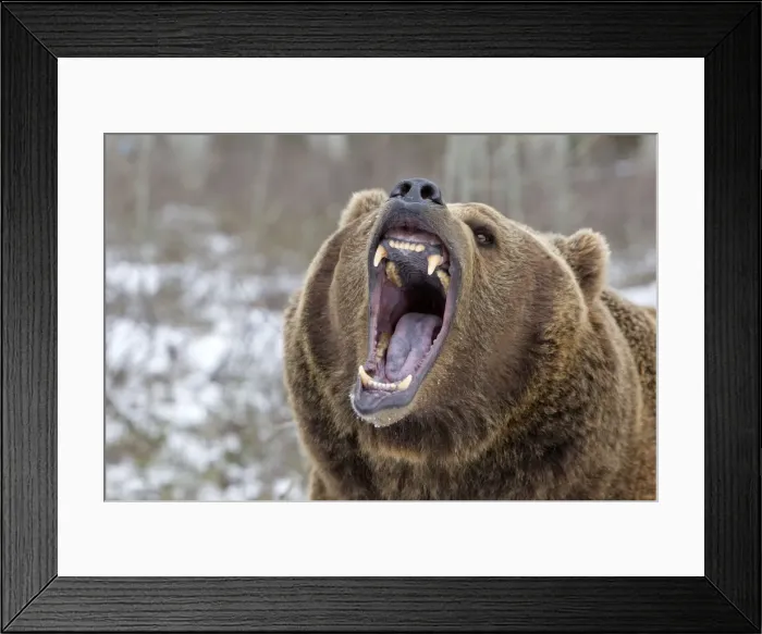 Framed Print : Picture No. 10898992 Framed Print : Picture No. 10898992