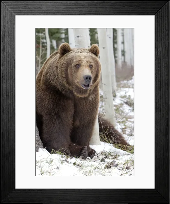 Framed Print : Picture No. 10898991 Framed Print : Picture No. 10898991