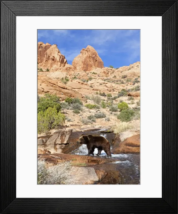 Framed Print : Picture No. 10898990