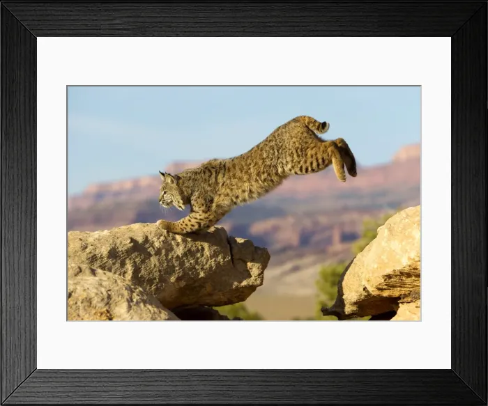 Framed Print : Picture No. 10899010 Framed Print : Picture No. 10899010