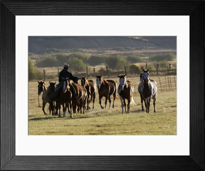 Framed Print : Picture No. 10778393 Framed Print : Picture No. 10778393