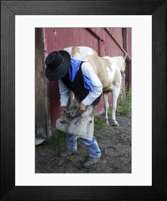 Framed Print : Picture No. 10778391 Framed Print : Picture No. 10778391
