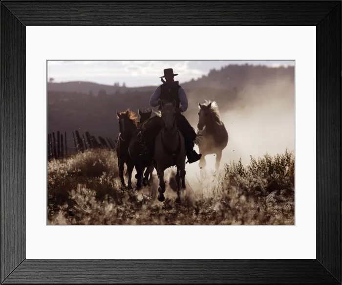 Framed Print : Picture No. 10778400 Framed Print : Picture No. 10778400