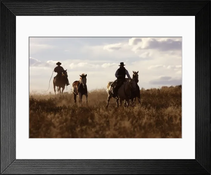 Framed Print : Picture No. 10778404 Framed Print : Picture No. 10778404