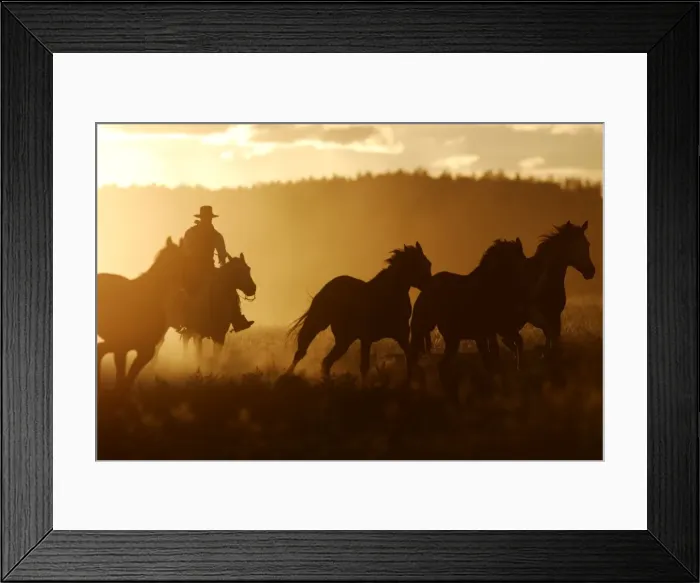 Framed Print : Picture No. 10778406 Framed Print : Picture No. 10778406