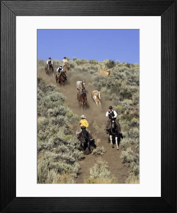 Framed Print : Picture No. 10778412