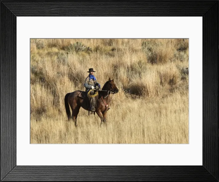 Framed Print : Picture No. 10778390 Framed Print : Picture No. 10778390