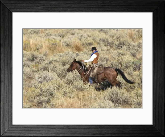 Framed Print : Picture No. 10778389 Framed Print : Picture No. 10778389