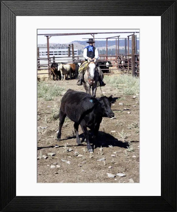 Framed Print : Picture No. 10778431 Framed Print : Picture No. 10778431