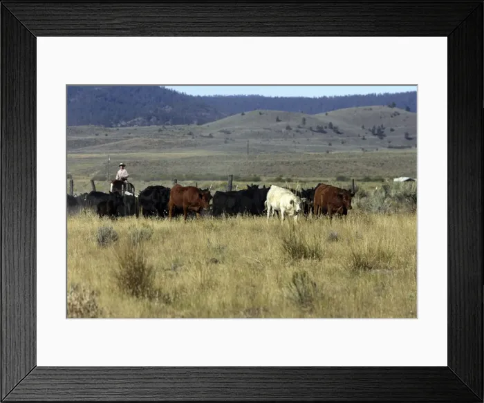 Framed Print : Picture No. 10778432 Framed Print : Picture No. 10778432
