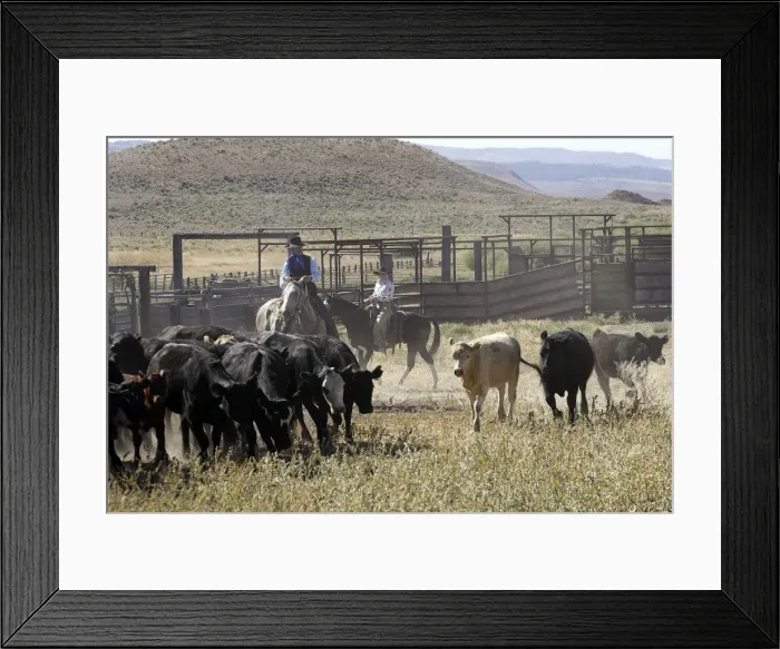 Framed Print : Picture No. 10778433 Framed Print : Picture No. 10778433